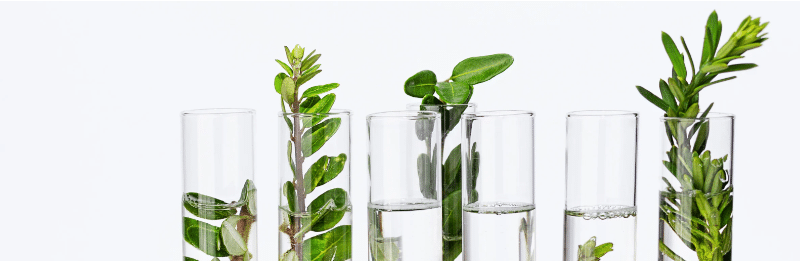 With ESG investing under siege on numerous fronts in the US, is there a future for ESG?